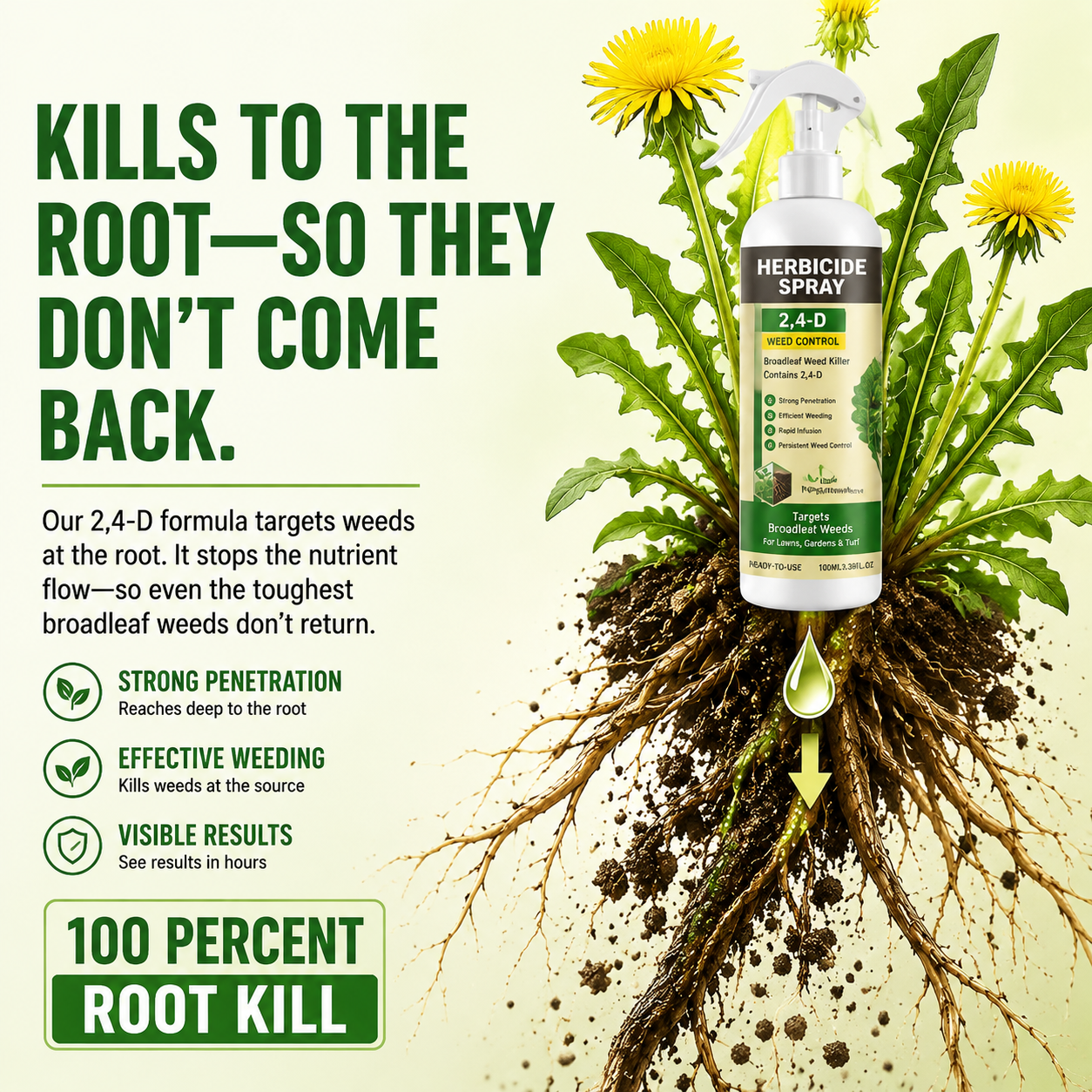 2,4-D Selective Lawn Weed Killer