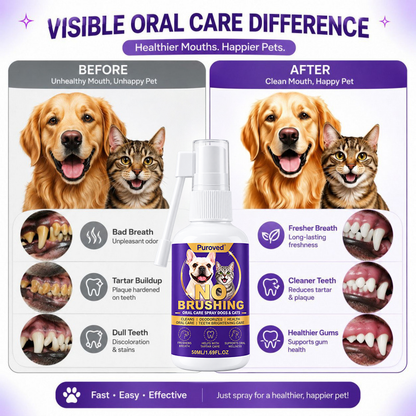 Pet oral care spray freshens breath and protects the mouth