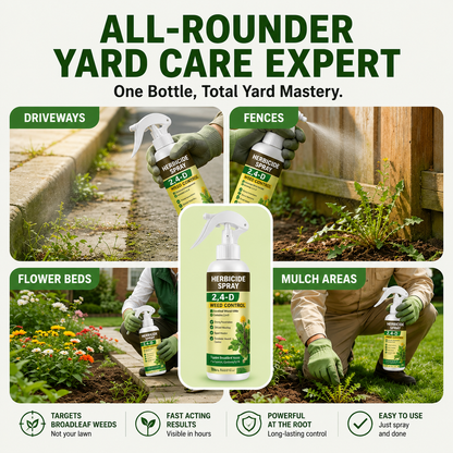 2,4-D Selective Lawn Weed Killer