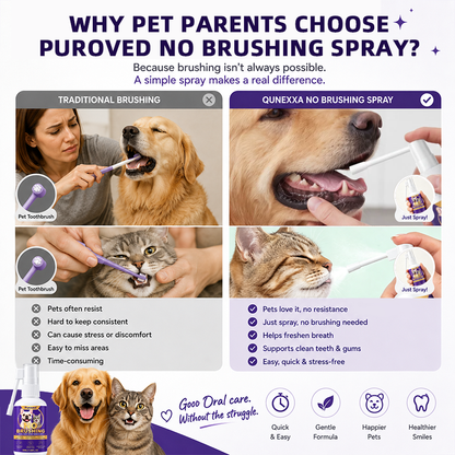 Pet oral care spray freshens breath and protects the mouth