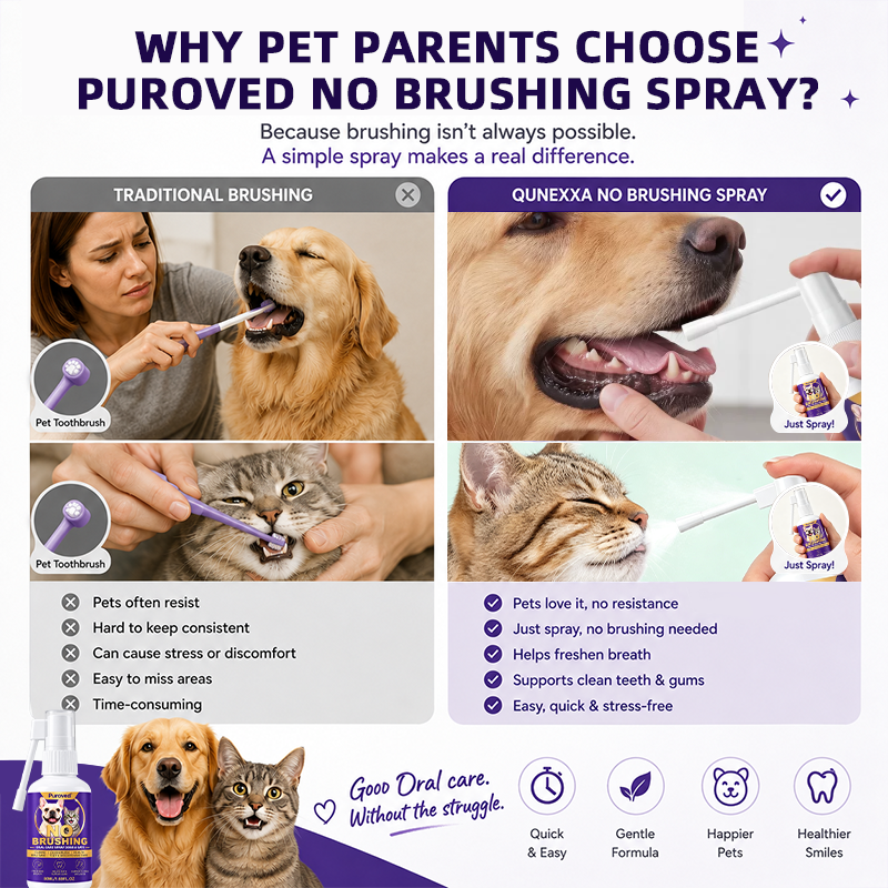 Traditional pet tooth brushing compared with Qunexxa no brushing oral care spray