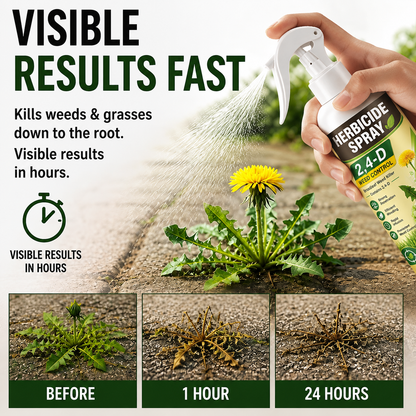 2,4-D Selective Lawn Weed Killer